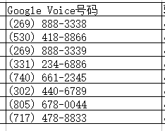 google voice号